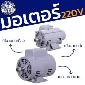 มอเตอร์ไฟฟ้า 220v diamond finger ตั้งแต่ 1/2 แรง - 2 แรง