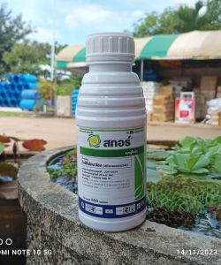 สกอร์ 500ซีซี (ไดฟีโนโคลนาโซล) ป้องกันเชื้อรากาบใบไหม้ แอนแทรคโนส ใบจุดสีม่วง