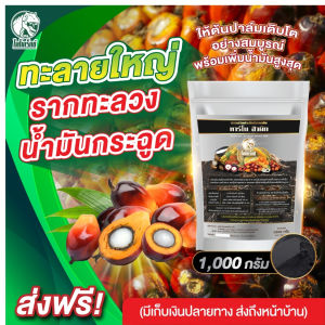 ฮิวมิกปาล์ม ฮิวมิกผงเข้มข้น แก้ดินพัง ฟื้นรากและลำต้น เร่งรากเดิน ขยายราก ทาร์โบฮิวมิก 1 กิโลกรัม