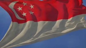 2pcs Ready Stock137*90cm High-Quality Singapore National Flag National Day Party Decoration Big Flag For Outdoor Celebrations Street Terrace Garden