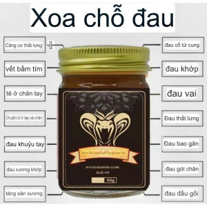 Cao kim xà Hỗ Trợ Giảm Đau Mỏi Cơ Vai Gáy Tê Mỏi Cơ Thể Căng Cơ