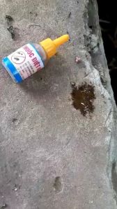 Diệt tận gốc Kiến Gián 10ml