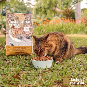 (Nguyên seal 66kg)Thức ăn mèo TASTE OF THE WILD Vị Cá hồi