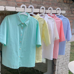 Kemeja Wanita Polo-Neck & Pakaian Kerja Bisnis