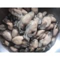 Hào sữa tách vỏ 500g (giao Hoả tốc tphcm). 