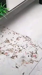 Portable Vacuum Cleaner for Pet Hair and Dusts Handheld Wireless USB Rechargeable Strong Suction Mopping Machine