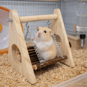 DGFDF Bite Resistant Wooden Hamster Swing Natural Triangular Hamster Climbing Toy Interactive Detachable Bird Scratch Chew Toy Habitat Decor