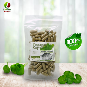 Daun Pegagan 100 Kapsul
