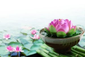 Tranh dán tường hoa sen trang trí nhà đẹp kt 80cm*1m2"