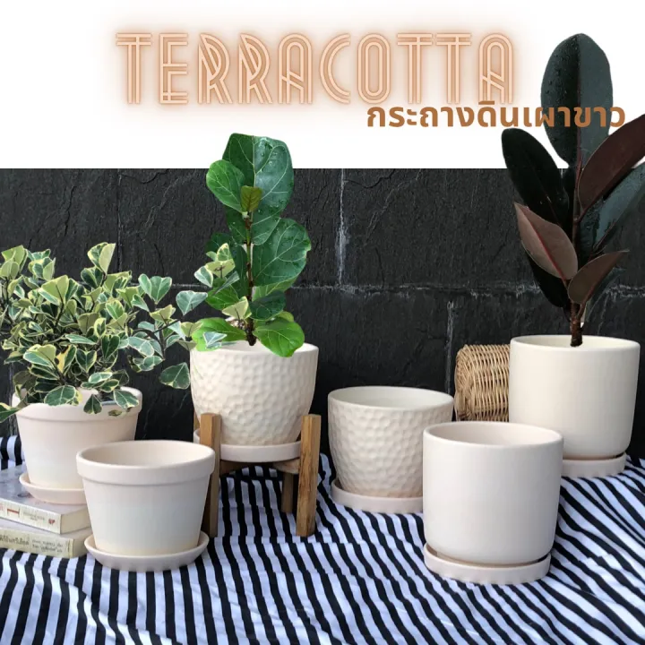 กระถางดินเผามินิมอล 6 นิ้ว พร้อมขาตั้งไม้สัก เนื้อเนียน