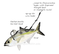 Set Perambut Tenggiri 2 Mata Fire Eagle Fishing Hook Mata Kail Umpan Hidup Pancing Ikan Mackerel. 
