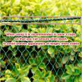 BUY 1 TAKE 1 Free Rope Net for Chicken Net 100 Meters 7ft Fish Net for Fishing Net Garden Net. 
