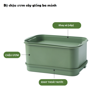 Bộ Khay Tự Trồng Rau Mầm Làm Giá Đỗ Trong Nhà Dễ Dàng Sạch Sẽ Chống Ẩm Mốc Cho Giá Đỗ Mập