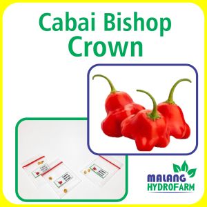 Benih Cabai Bishop Crown Unggulan Berkualitas bibit biji repack cabe lonceng pedas pedes hydroponik hidroponik sayur sayuran pot