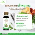 (โปร 24 แถม 6) น้ำพลูคาวสกัด Phlu Khao Juice เครื่องดื่มสมุนไพรรวม. 