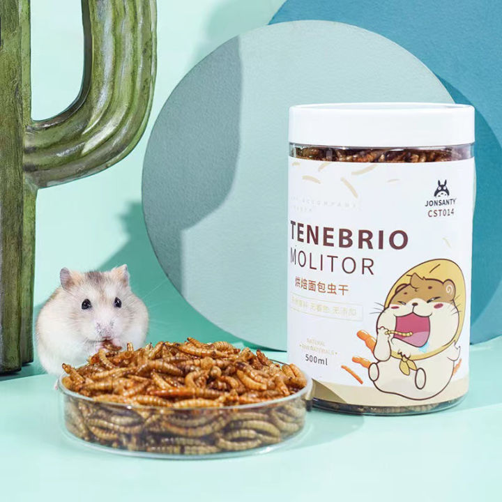 Can hamsters clearance eat dried mealworms