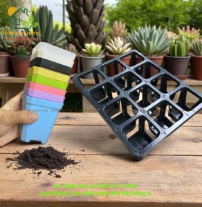 KCN12OV - sét Khay nhựa 12 ô vuông kèm chậu 7cm DB đặc biệt đáy khay thiết kế liền đáy tiện di dời ( xem trng mô tả)