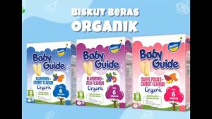 TenTen Puff Rice Organik 30g - Cheese & Brocoli / Mixed Berry/ Banana & Pumpkin - 12Month Above