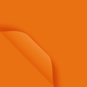 กระดาษห่อดอกไม้ (20แผ่น/แพ็ค) สีพิ้น กันน้ำ ขนาด56x54cm มีหลายสีให้เลือก กระดาษห่อช่อดอกไม้ กระดาษก่อของขวัญ