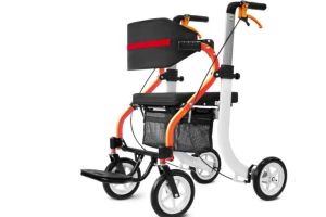 3 in 1 Rollator Walker Wheelchair Shopping Cart for Senior Foldable Lightweight Heavy Duty Foot Rest