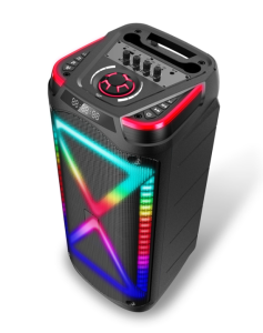 HANSUO HS-TD10V8 Dual 10 inch Wireless Portable Outdoor Speaker with colorful lights Rechargeable Speakers