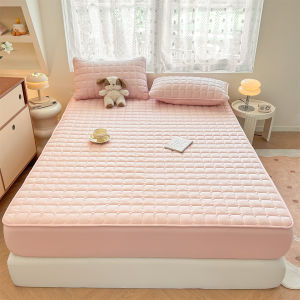 Simple Solid Color Mattress Protector Quilted Antibacterial Fittedsheet Queen/King Size Pillowcase