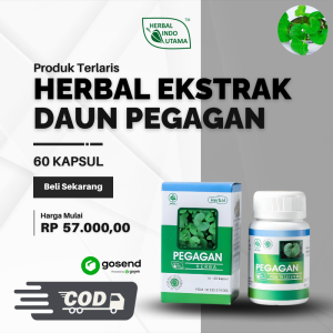 Ekstrak Daun Pegagan 60c - Herbal Peningkat Daya Ingat & Sirkulasi Darah