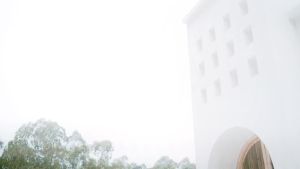 Boladeci  Womens Sun Protection Shirt  UPF 50+  UV Protection Sunscreen Long Sleeve Swimming Shirt Quick Dry Lightweight Sports Top