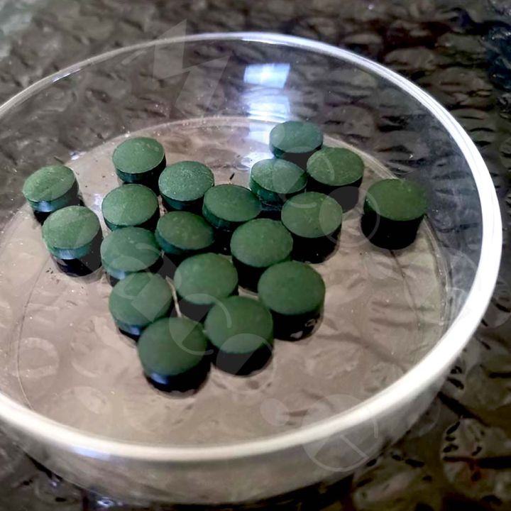 Algae tablets fish food Spirulina tablets best for small fishes or
