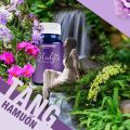 Slady Viên Uống Cân Bằng Nội Tiết Tố Nữ - Giảm Khô Hạn Tăng Ham Muốn - Cải Thiện Giấc Ngủ. 