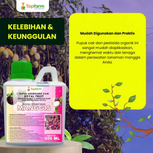 Pupuk Topfarm / Pestisida Topfarm / Pupuk Khusus Manggis / Pupuk Khusus Penyubur Daun Manggis / Obat Manggis Cepat Berbuah / Obat Manggis Anti Perontok / Obat Penggerek Batang Pohon Buah Manggis / Obat Mangga Biar Cepat Berbuah