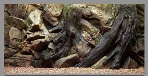 Tranh Bể Cá 3D Decal Dán Hồ Cá Mẫu Đá Cành Cây Tặng Tem Cảnh Báo