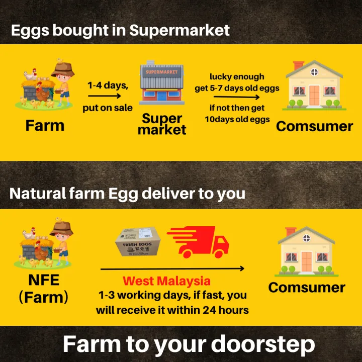 ai 日報 | hei yan quan Images High Quality Grahic NFE 80pcs | 80 biji | 80粒 | Natural Farm Fresh Egg | Telur Segar Ladang ...