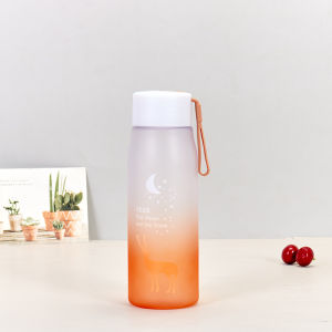 560ml Korean Colorful Gradient Moon Deer Water Bottles BPA-Free Leak-Proof New Design Drinkware