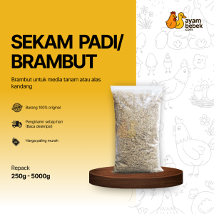 Sekam Padi Kering / Brambut untuk Media Tanam / Alas Kandang | AyamBebek.com