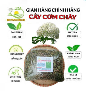 1kg cây cơm cháy sấy khô