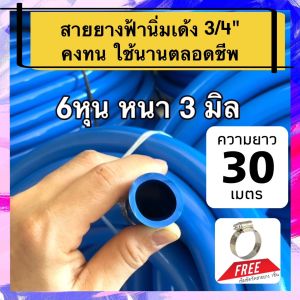 [ฟรีเข็มขัดรัด] สายยาง 6หุน 30เมตร หนา3มิล ใช้รดน้ำต้นไม้ นิ่มเด้ง คงทน ไม่เป็นตะไคร่น้ำ