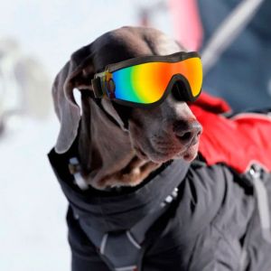 OUTOPEN Adjustable Strap Dog  Windproof UV Resistant Dog Sunglasses Pet Decoration Supplies Anti-Fog Pet Glasses Travel