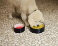 HAY - HAY Dogs Bowl ( ชามอาหารสัตว์ ชามข้าวหมา ชามข้าวแมว ชามอาหารแมว ที่ใส่อาหารแมว ที่ให้อาหารแมว ชามอาหารสุนัข ชามข้าวแมว ชามอาหารสัตว์ ชามอาหารทรงสูง สำหรับสัตว์เลี้ยง ปากชามขนาดใหญ่ ). 