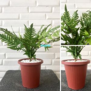 Pohon Artifiicial Daun Pakis Latex Mini Pot Yogaf Hitam & Coklat Dekorasi Meja Rumah Aesthetic