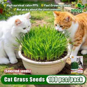 [Selected Seeds 100pcs] Organic Cat Grass Seeds - 100% Legit Non-GMO Cat Grass Seeds for Planting Vegetables (Fast Growing) Bonsai Seeds Herb Seeds Vegetable Seeds for Gardening Indoor Plants Seeds and Bulbs Cat Grass Plants Real Plants Grass Live Plants