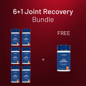 [SG61] Joint Recovery | Dual-Action Formula | Joint pain support Cartilage support Mobility support