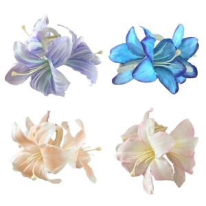 Clip Kẹp tóc càng cua hoa nhựa Thực Tiễn cung cấp phụ kiện tóc thời trang thời trang và kẹp bảo vệ cho phụ nữ thời trang