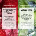 [CLEARANCE SALE] Raspberry Rinsing Vinegar 150ml for Dull Hair by YVES ROCHER Hair Care Bestseller. 