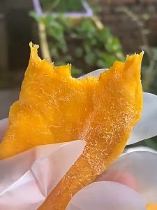 (Buy 1 Take 1)READY STOCK Dried Mango with Salt and Chili from Sweet Tangy & Spicy 100G/150G/250G