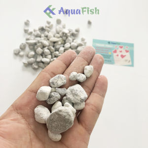 Seachem Matrix 100g - Vật Liệu Lọc Cao Cấp Cho Bể Cá Cảnh Hồ Cá Koi