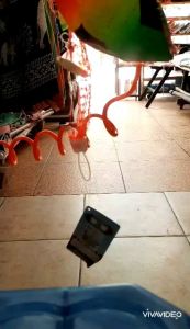 ลูกบอลยาง สีรุ้ง นุ่มเด้ง Ball rainbow colorful บอลสายรุ้ง จี๊ดจ๊าด บอลยาง คุณภาพ นุ่มเด้งเส้นผ่าศูนย์กลาง ประมาณ 9"-10"