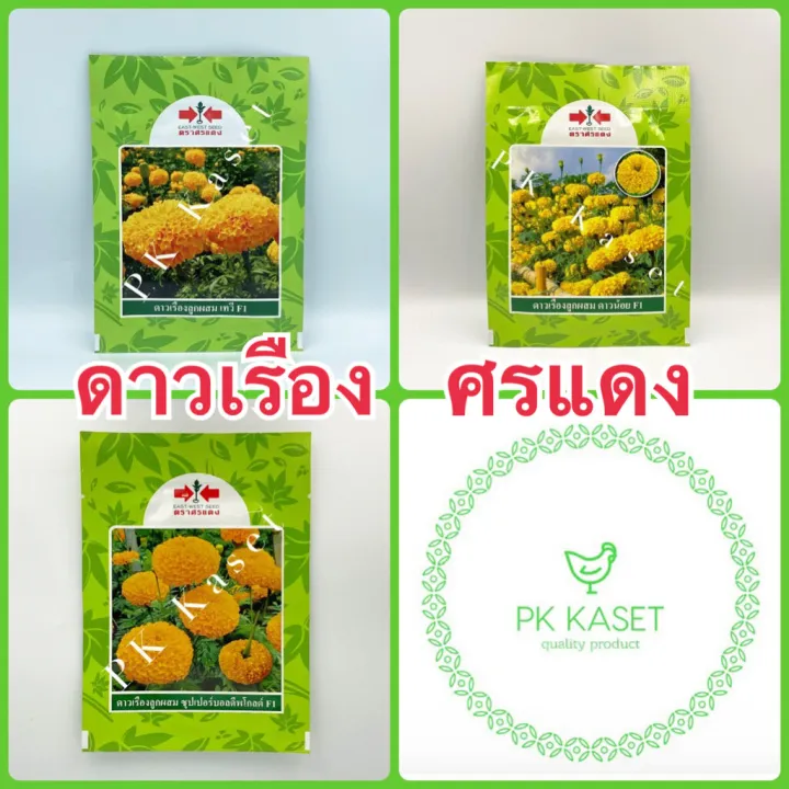 5 อันดับเมล็ดพันธุ์ดอกดาวเรืองยอดนิยม ปลูกง่าย ดอกสวยบานสะพรั่ง อัปเดตปี 2025