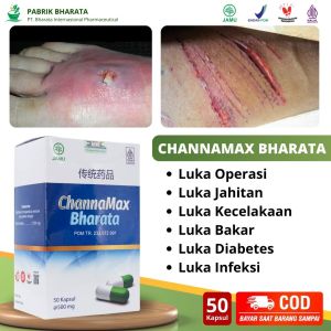 Channamax Bharata Kapsul Herbal Pengobatan Luka Multijenis - BPOM & Halal
