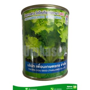 ผักกาดขาว ไดโตเกียวเบกานา 6803(100กรัม500กรัม)เพื่อนเกษตรกร